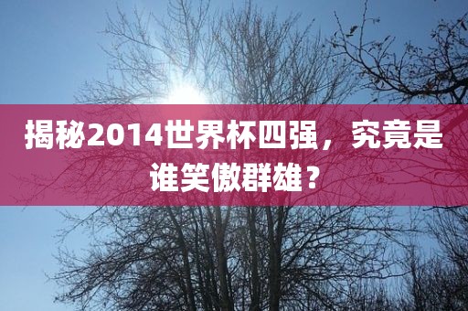 揭秘2014世界杯四强，究竟是谁笑傲群雄？