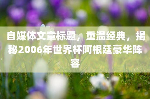 自媒体文章标题，重温经典，揭秘2006年世界杯阿根廷豪华阵容