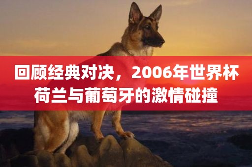 回顾经典对决，2006年世界杯荷兰与葡萄牙吉安市靖泰电力工程有限公司的激情碰撞