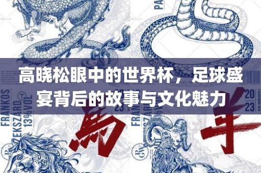高晓松眼中的世界杯，足球盛宴背后的故事与文化魅力吉安市靖泰电力工程有限公司