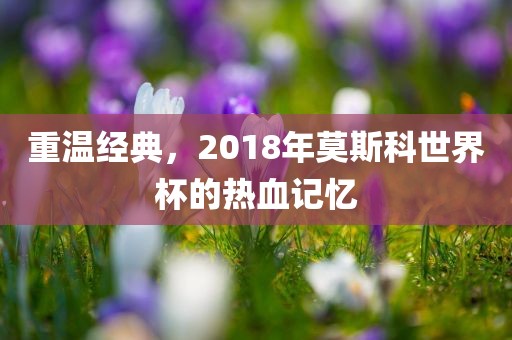 重温经典，2018年莫斯科世界杯的热血记忆