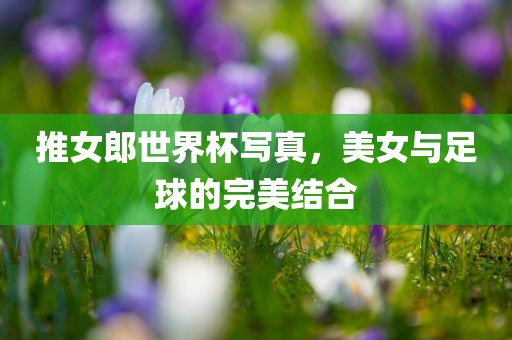 推女郎世界杯写真，美女与足球的完美结合