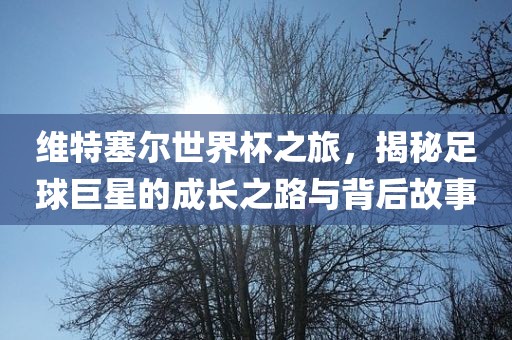 维特塞尔世界杯之旅，揭秘足球巨星的成长之路与背后故事
