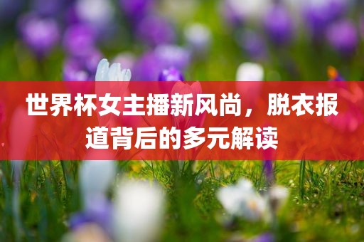 世界杯女主播新风尚，脱衣报道背后的多元解读