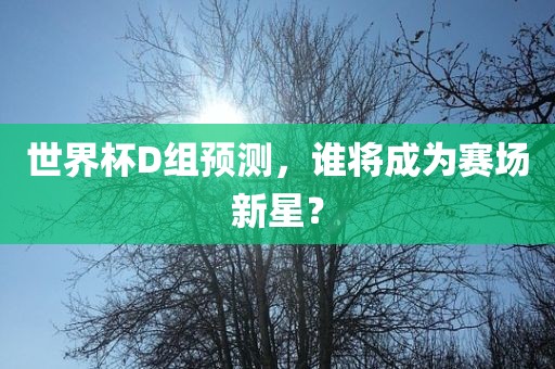 世界杯D组预测，谁将成为赛场新星？