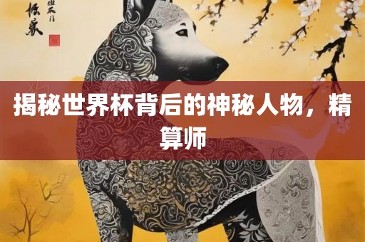 揭秘世界杯背后的神秘人物，精算师