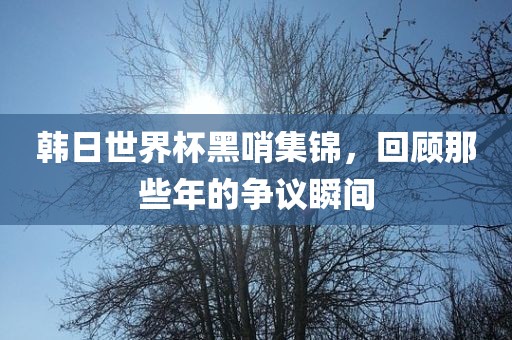 韩日世界杯黑哨集锦，回顾那些年的争议瞬间