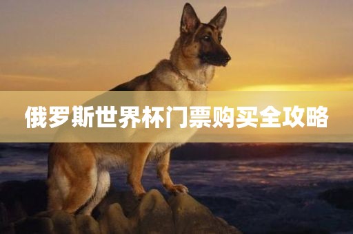 俄罗斯世界杯门票购买全攻略