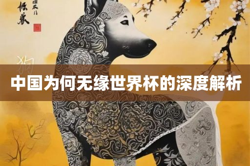 中国为何无缘世界杯的深度解析