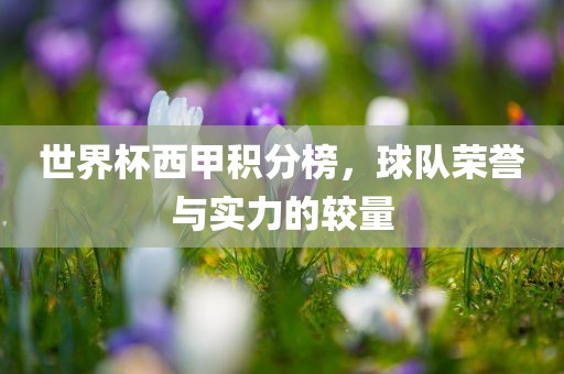 世界杯西甲积分榜，球队荣誉与实力的较量
