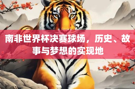 南非世界杯决赛球场，历史、故事与梦想的实现地