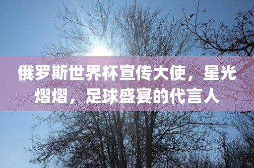 俄罗斯世界杯宣传大使，星光熠熠，足球盛宴的代言人