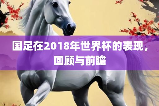 国足在2018年世界杯的表现，回顾与前瞻