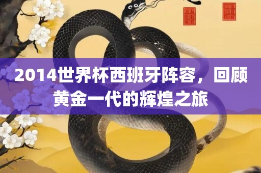 2014世界杯西班牙阵容，回顾黄金一代的辉煌之旅