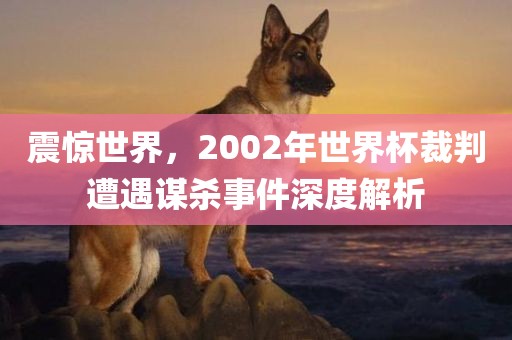 震惊世界，2002年世界杯裁判遭遇谋杀事件深度解析