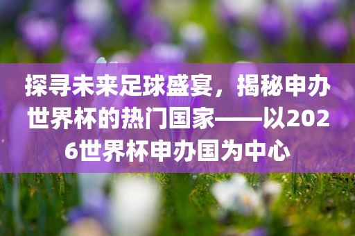 探寻未来足球盛宴，揭秘申办世界杯的热门国家——以2026世界杯申办国为中心