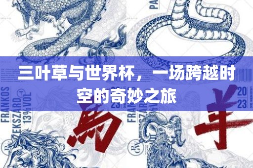 三叶草与世界杯，一场跨越时空的奇妙之旅