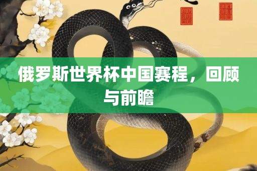 俄罗斯世界杯