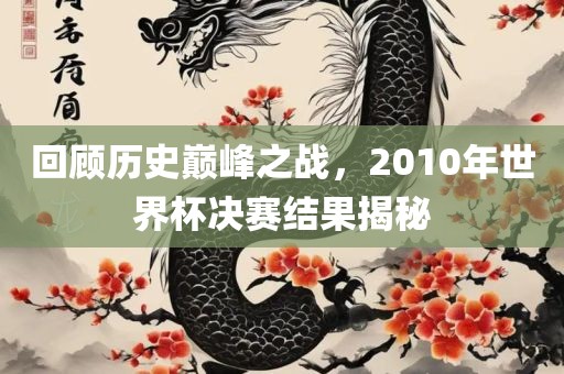 回顾历史巅峰之战，2010年世界杯决赛结果揭秘