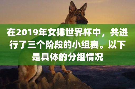 在2019年女排世界杯中，共进行了三个阶段的小组赛。以下是具体的分组情况