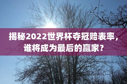 揭秘2022世界杯夺冠赔表率，谁将成为最后的赢家？