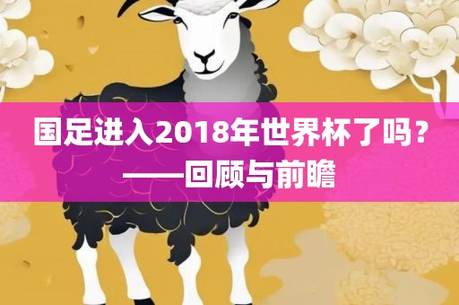 国足进入2018年世界杯了吗？——回顾与前瞻
