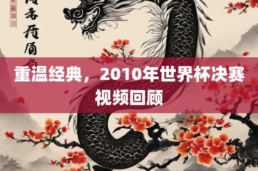 重温经典，2010年世界杯决赛视频回顾吉安市靖泰电力工程有限公司
