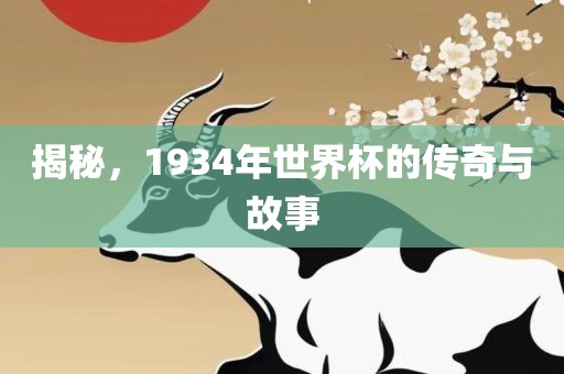 揭秘，1934年世界杯的传奇与故事