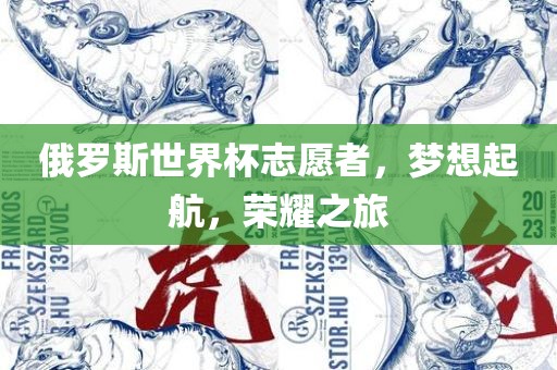 俄罗斯世界杯志愿者，梦想起航，荣耀之旅