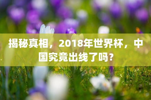 揭秘真相，2018年世界杯，中国究竟出线了吗？