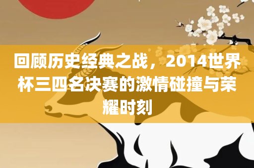 回顾历史经典之战，2014世界杯三四名决赛的激情碰撞与荣耀时刻