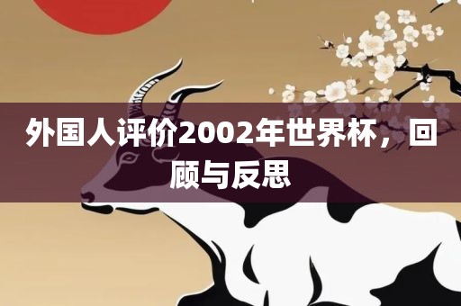 外国人评价2002年世界杯，回顾与反思