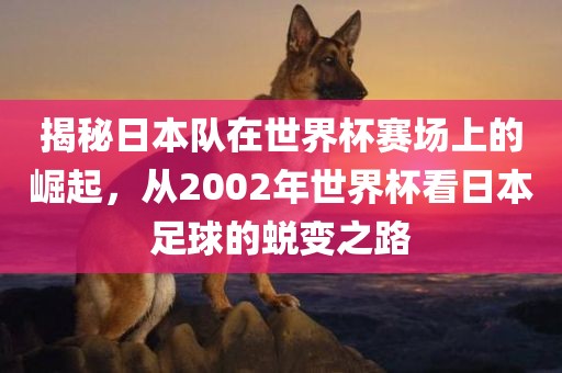 揭秘日本队在世界杯赛场上的崛起，从2002年世界杯看日本足球的蜕变之路