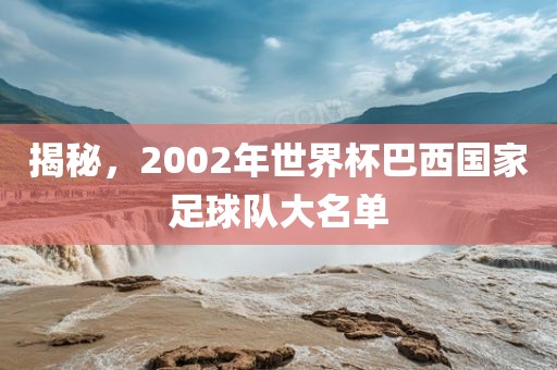 揭秘，2002年世界杯巴西国家足球队大名单