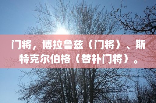 门将，博拉鲁兹（门将）、斯特克尔伯格（替补门将）。