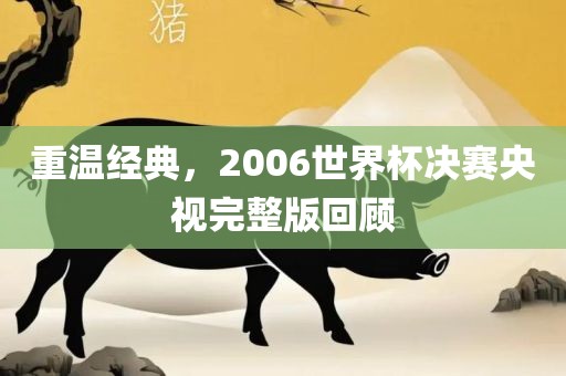 重温经典，2006世界杯决赛央视完整版回顾