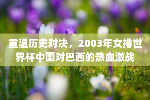 重温历史对决，2003年女排世界杯中国对巴西的热血激战