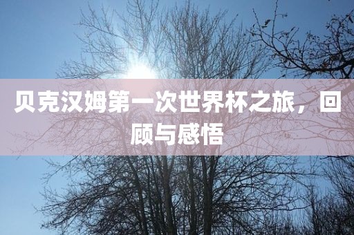 贝克汉姆第一次世界杯之旅，回顾与感悟
