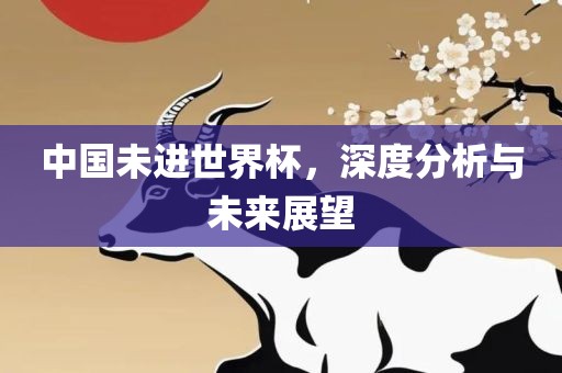 中国未进世界杯，深度分析与未来展望