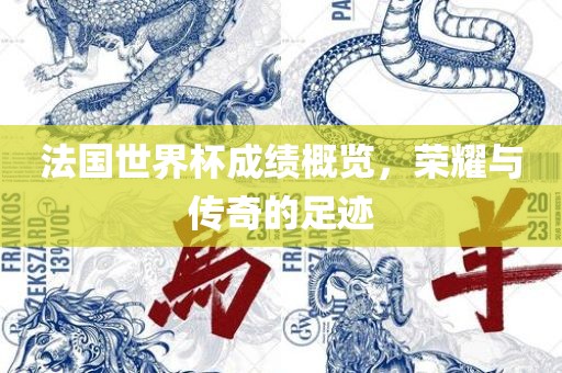 法国世界杯成绩概览，荣耀与传奇的足迹