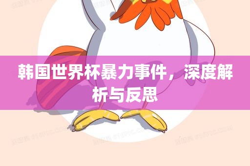 韩国世界杯暴力事件，深度解析与反思