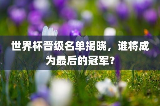 世界杯晋级名单揭晓，谁将成为最后的冠军？