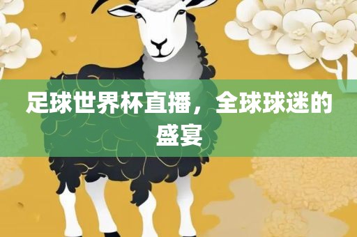 足球世界杯直播，全球球迷的盛宴