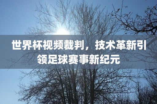 世界杯视频裁判，技术革新引领足球赛事新纪元