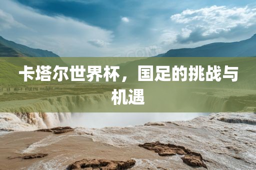 卡塔尔世界杯，国足的挑战与机遇吉安市靖泰电力工程有限公司
