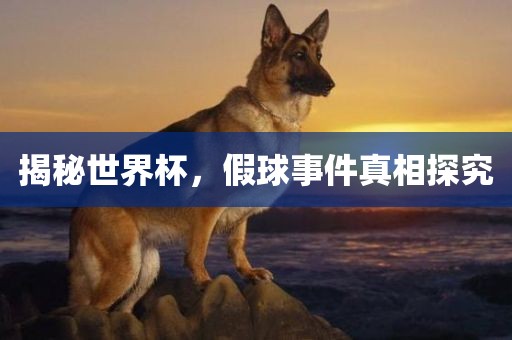 揭秘世界杯，假球事件真相探究