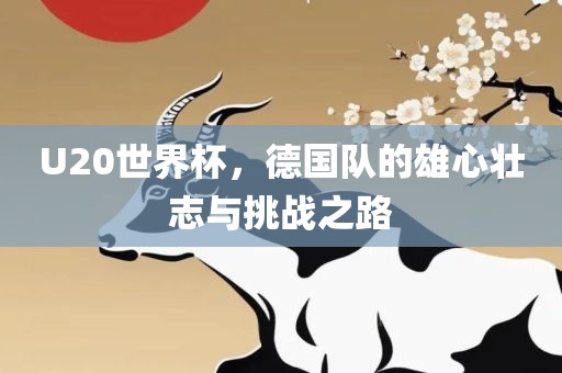U20世界杯，德国队的雄心壮志与挑战之路