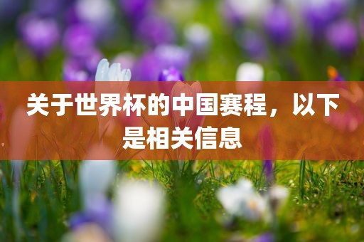 关于世界杯的中国赛程，以下是相关信息