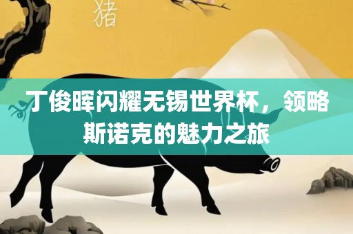 丁俊晖闪耀无锡世界杯，领略斯诺克的魅力之旅