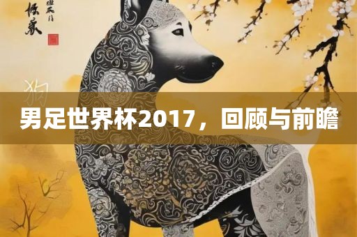 男足世界杯2017，回顾与前瞻